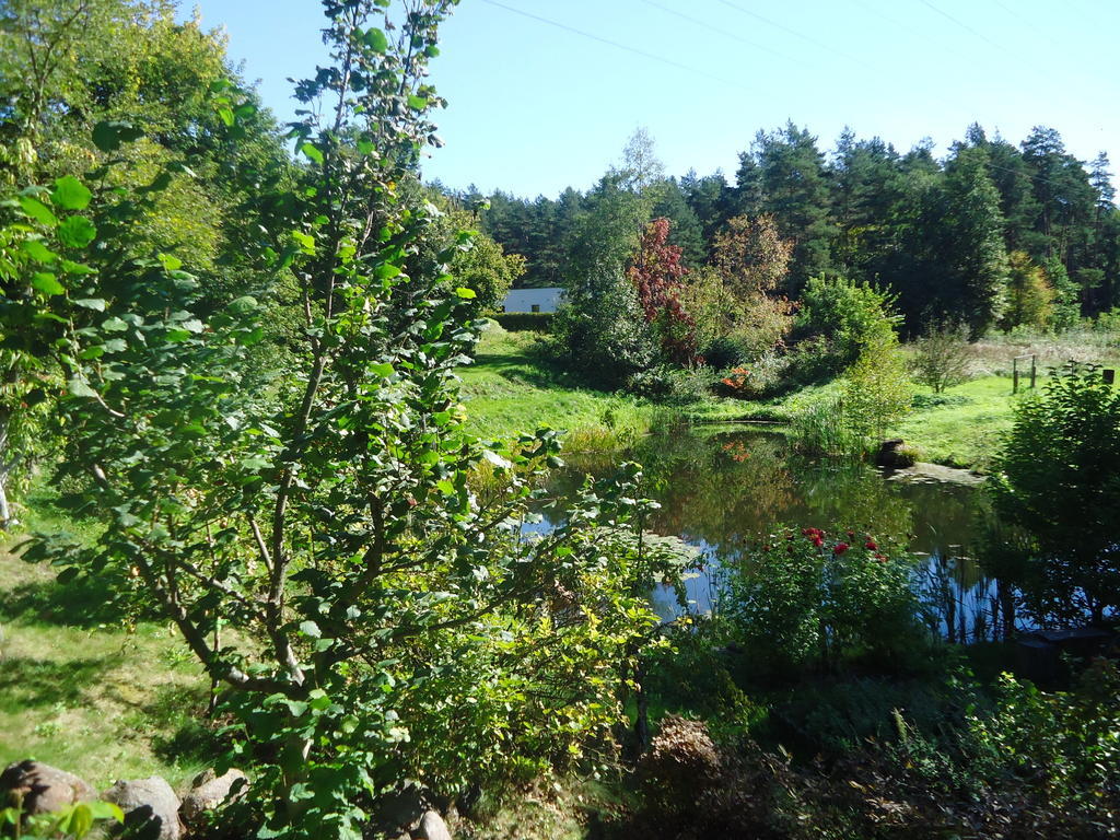 Homestay Roja Вильнюс Экстерьер фото